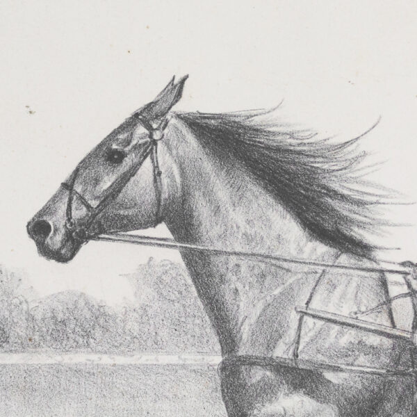 viriathus-dibujo-caballo