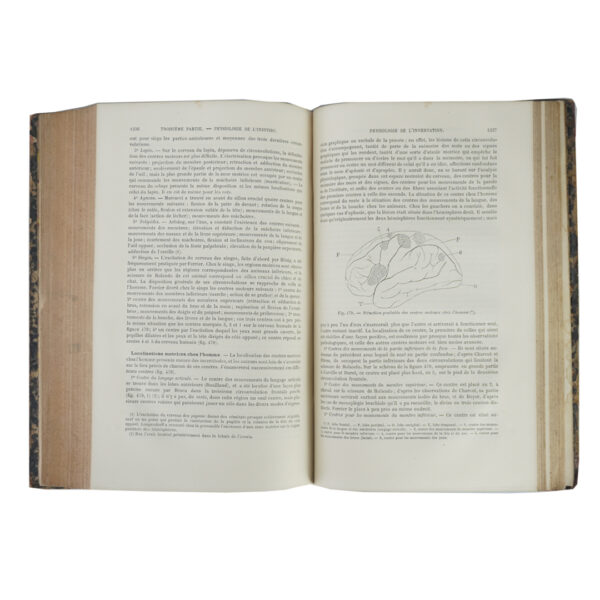 libro-viriathus-antiguedades