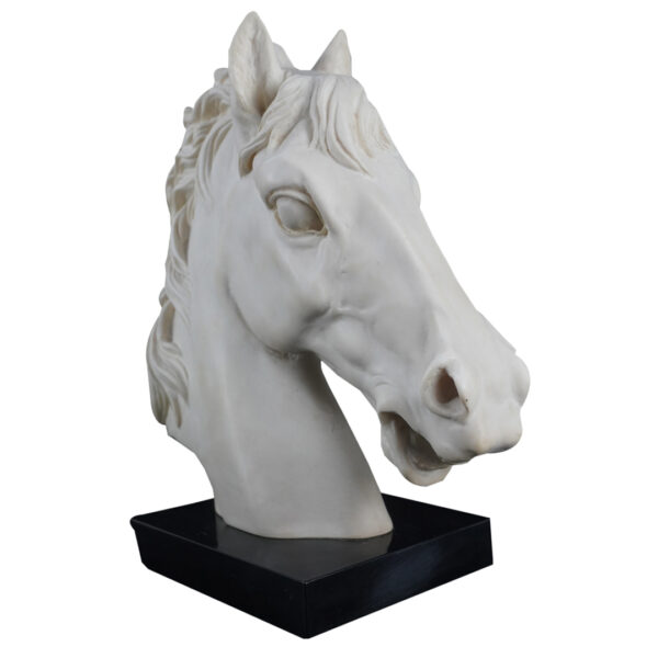 caballo-viriathus-vintage
