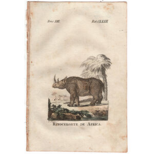 rinoceronte-viriathus-vintage-antiguo