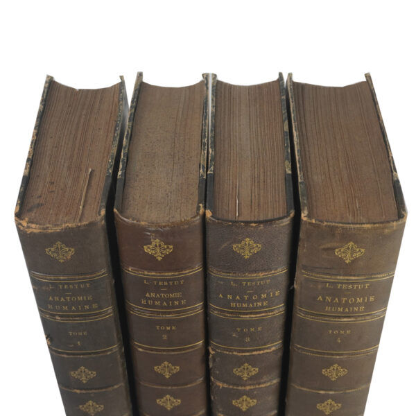libros- frances-viriathus-antiguo